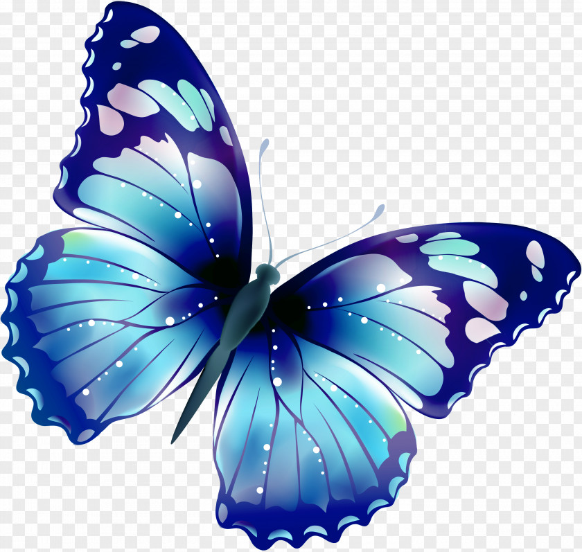 Watercolor Butterfly Clip Art PNG