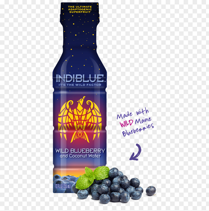 Blueberry Tea Fruit Liquid Bilberry Orto D'Autore Srl PNG