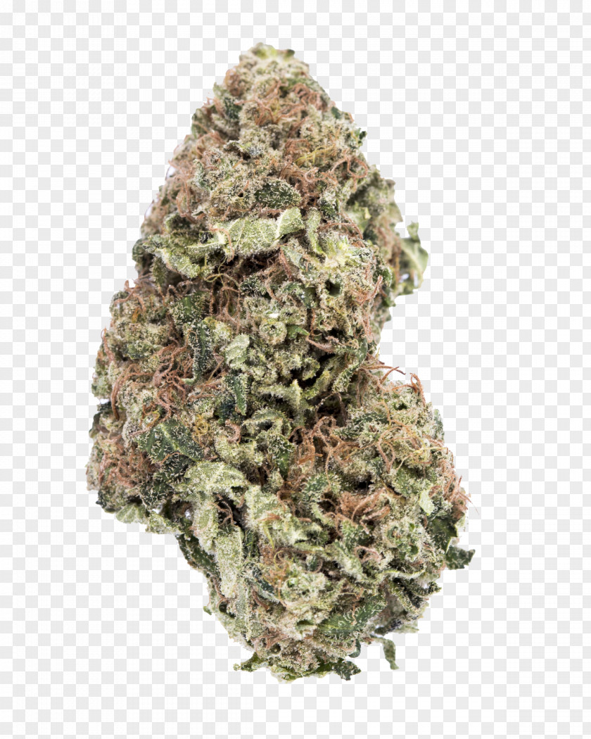 Cannabis Shop Dispensary Weedmaps Tetrahydrocannabinol PNG