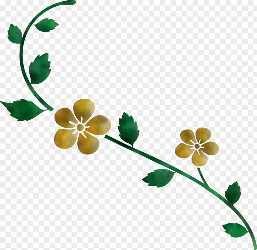 Flower Frame Decoration PNG