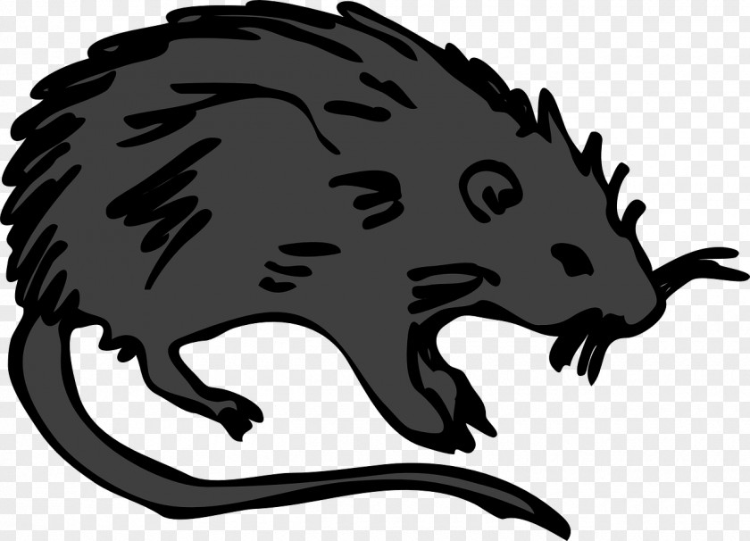 Mouse Brown Rat Laboratory Rodent Clip Art PNG