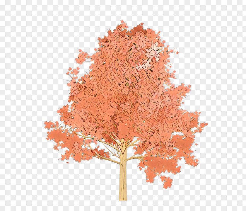 Peach Black Maple Orange PNG