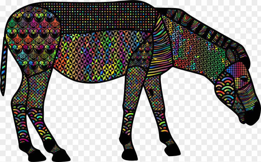 Zebra Horse Drawing Clip Art PNG