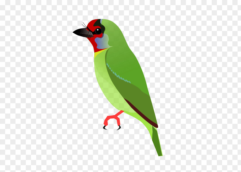 Beak Finches Feather PNG