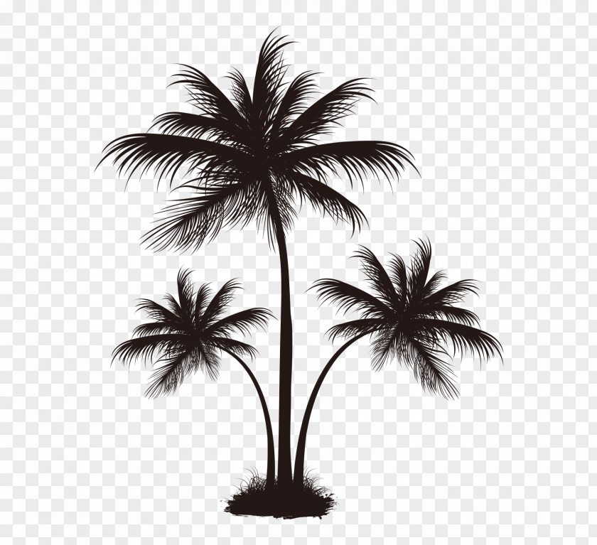 Black Palm Tree Pattern Arecaceae Coconut PNG