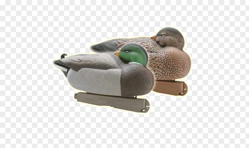 Duck Mallard Decoy Bird PNG