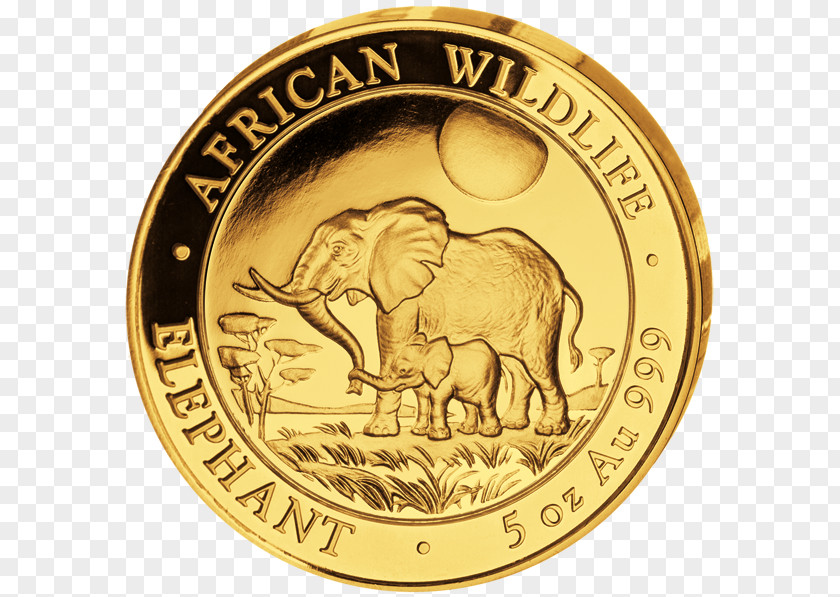 Gold Somalia Coin African Elephant Elephantidae PNG
