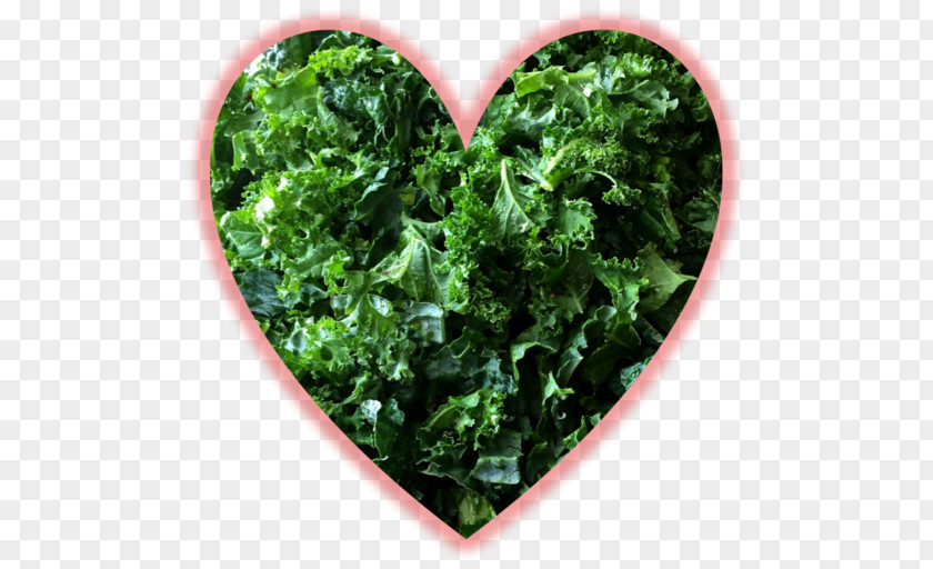 Kale Meal The HON Company Blog Heart PNG