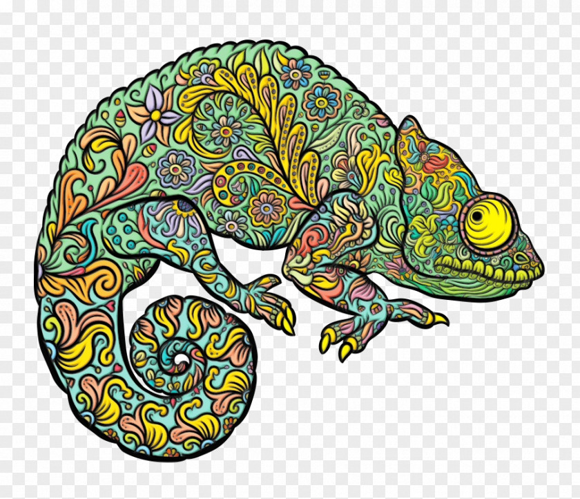Mellers Chameleon Coloring Book Common Lizard Reptile Scaled PNG