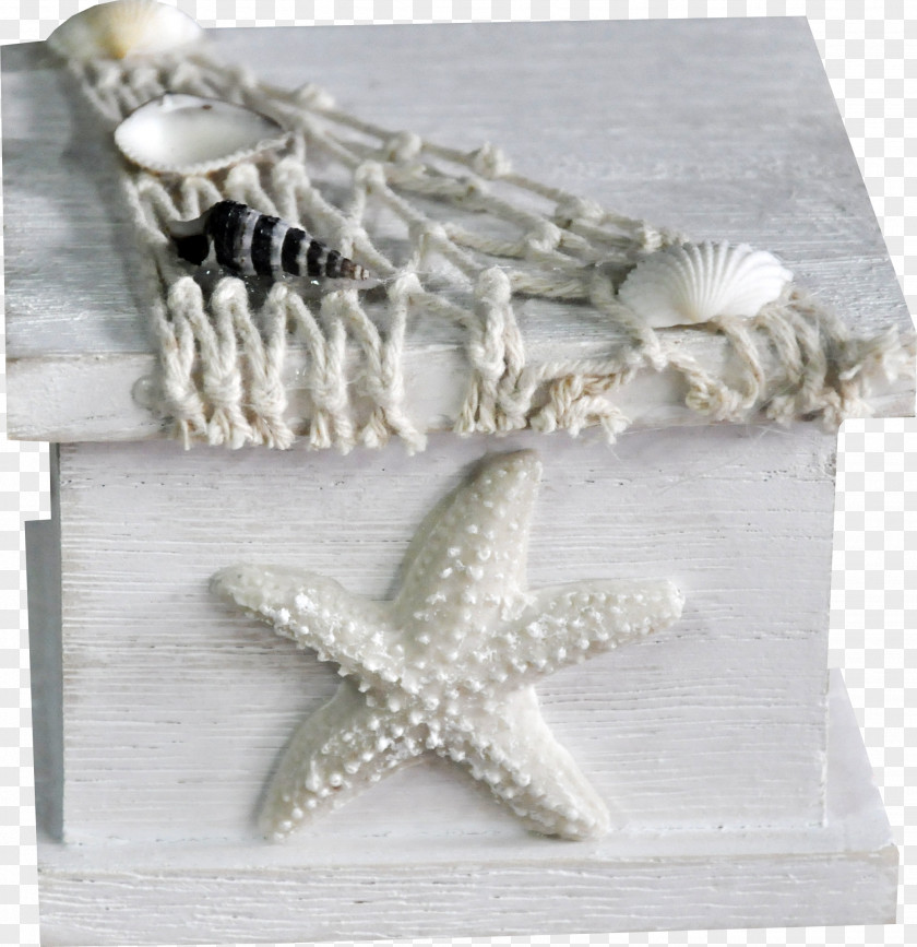 Muhe Starfish Seashell Photography Clip Art PNG