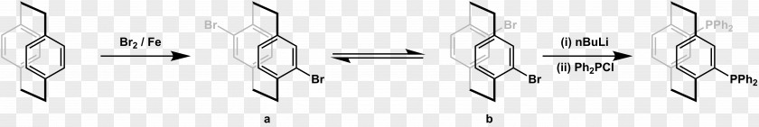 Preparing Monochrome Photography PNG