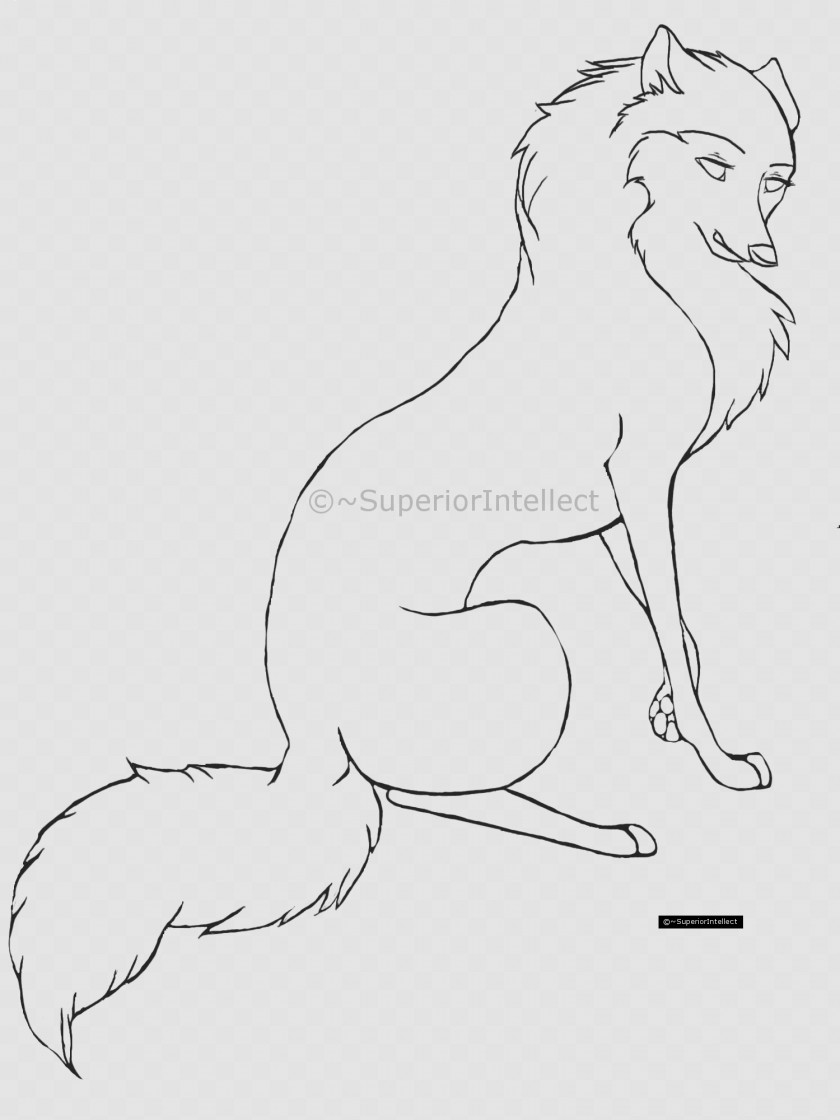 Wolfs Cartoon Gray Wolf Puppy Drawing Line Art PNG