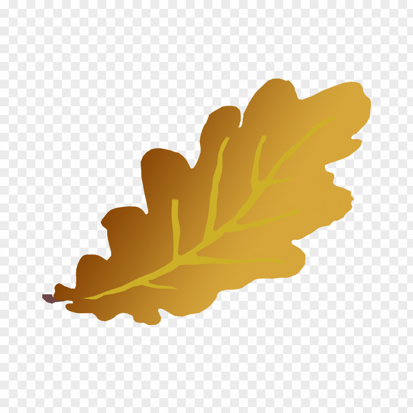 Yellow Autumn Leaves Leaf Drawing Abscission Photography Clip Art PNG