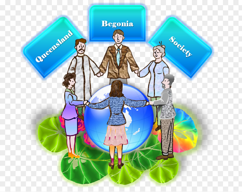 American Begonia Society Queensland Information Human Behavior Organism PNG