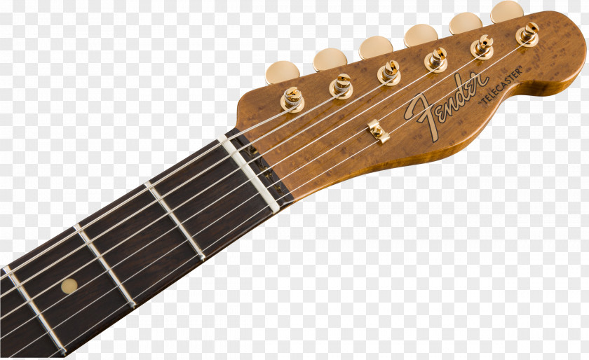 Guitar Fender Telecaster Thinline Stratocaster Custom Deluxe PNG