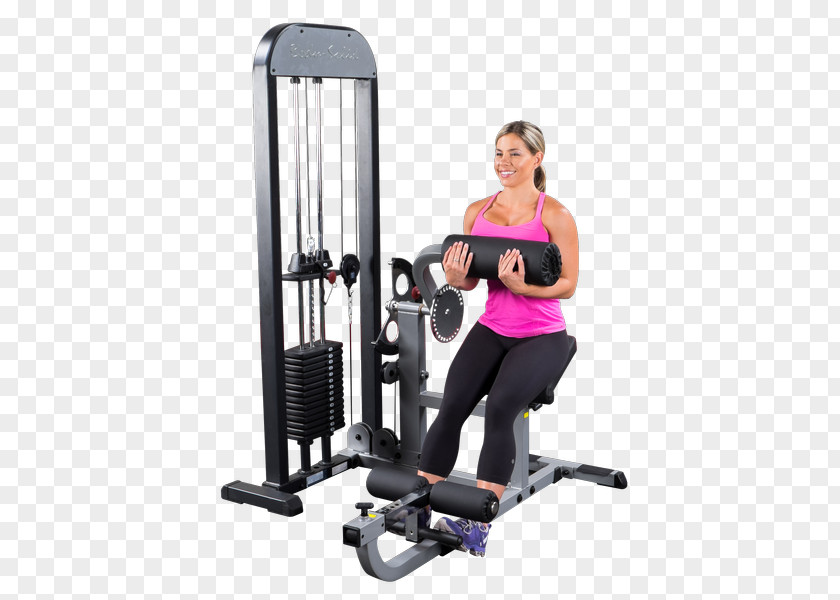 Gym Body Crunch Hyperextension Exercise Equipment Machine PNG