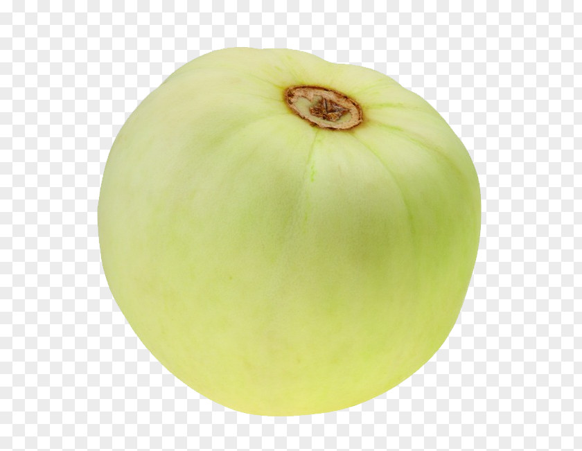 Muskmelon Honeydew Galia Melon Vegetable PNG