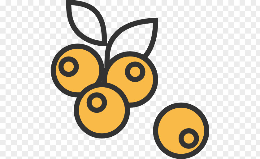 Olive Oil Berry Fruit Clip Art PNG