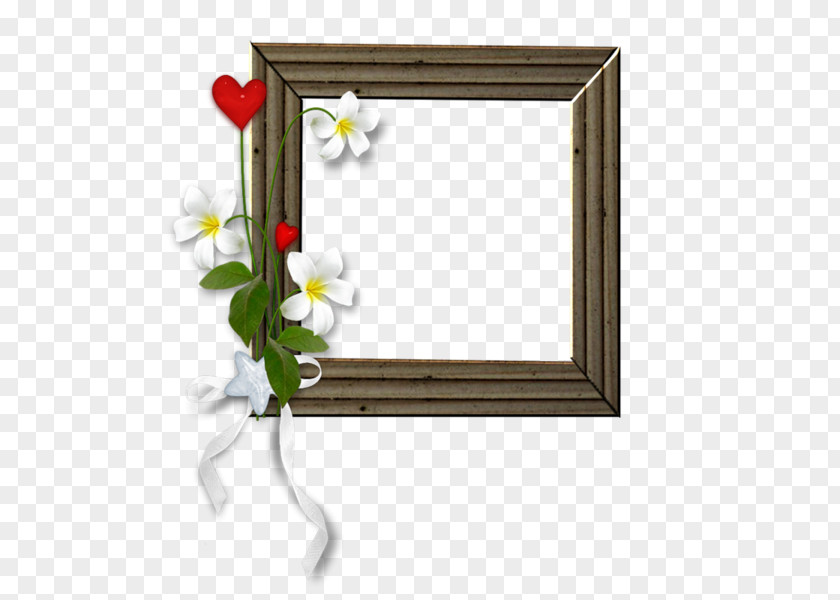 Picture Frames Design Image Photography PNG
