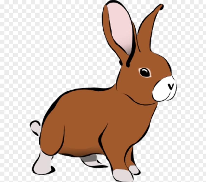 Rabbit Vector Cliparts Free Content Clip Art PNG