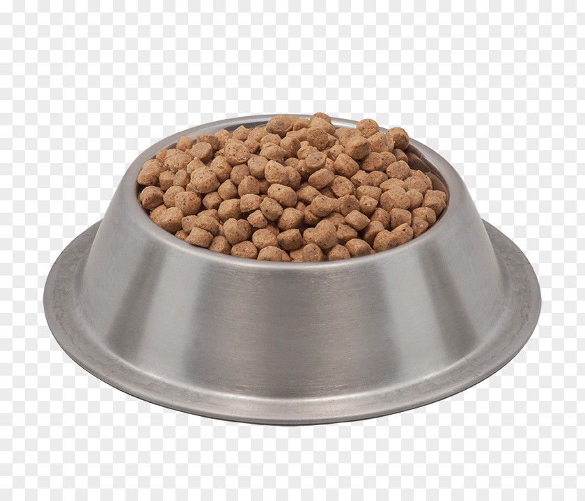 Animal Food Dish Cat Dog Ferret PNG