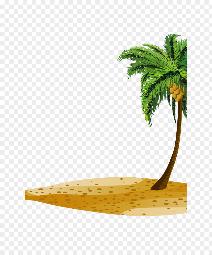 Coconut Tree Download Clip Art PNG