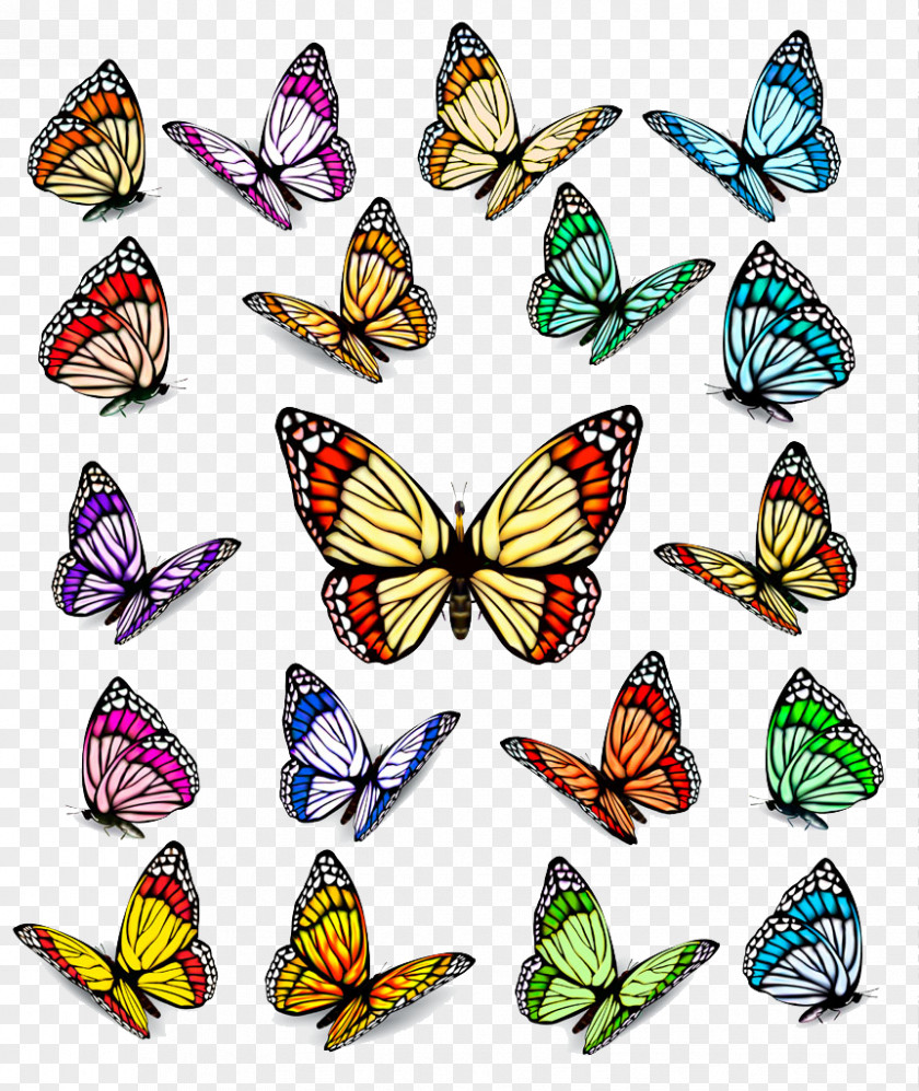 Creative Butterfly Royalty-free Euclidean Vector Stock Photography Illustration PNG