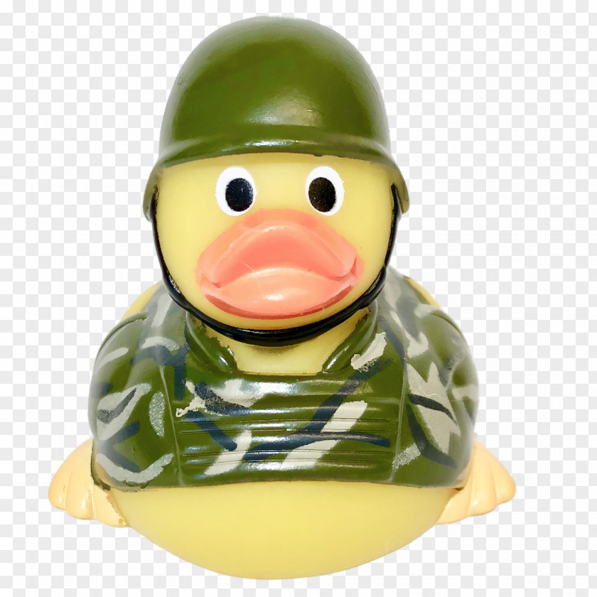 Duck Dells Army Tours Rubber Wisconsin PNG