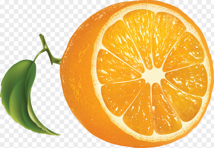 Orange Image Download Juice Tangerine Lemon PNG