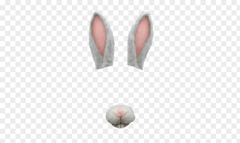 Snapchat Filter Bunny Simple PNG Simple, white rabbit ears and nose illustration clipart PNG