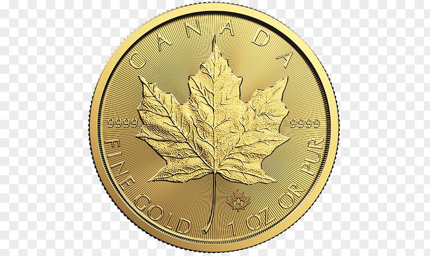 Canada Canadian Gold Maple Leaf Bullion Coin Dollar PNG