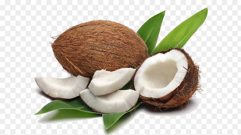 Coconut Meat And Green Leaves Water Oil Nutrition PNG