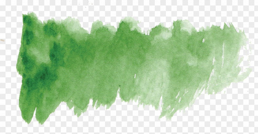Green Aesthetic Forest Creative Elements Creativity PNG