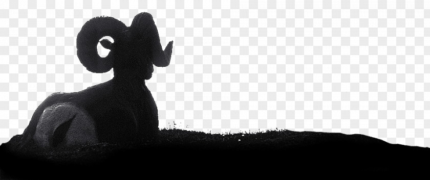 Trophy Hunting Mammal Black Silhouette White Snout PNG