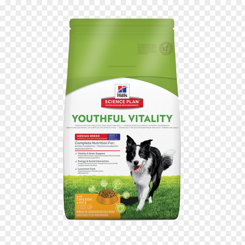 Dog Food Cat Science Diet Hill's Pet Nutrition PNG