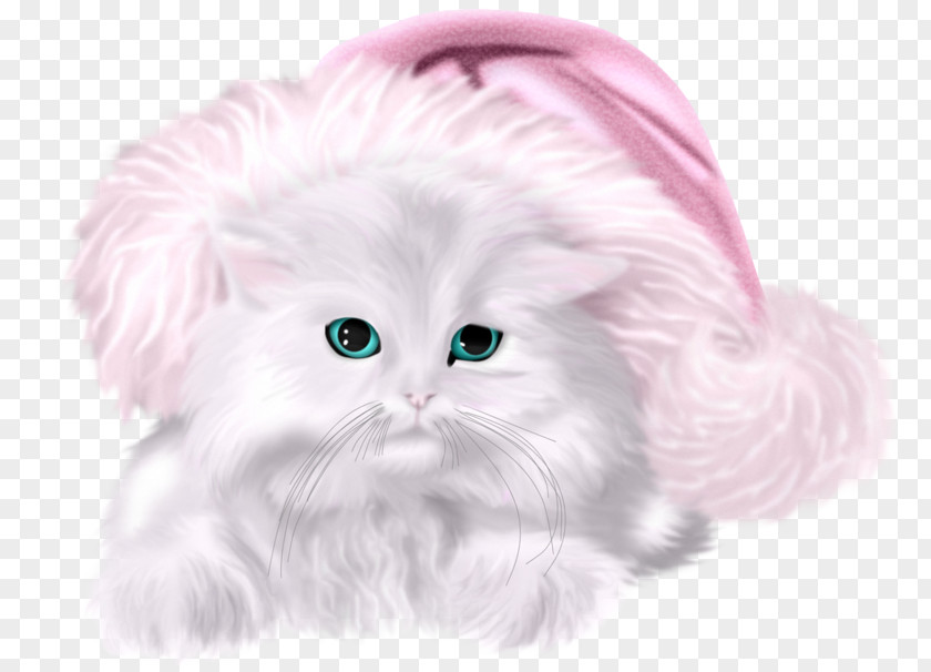 Hat Little Cat Kitten Whiskers Christmas PNG