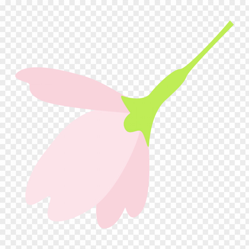 Logo Flower Pink Leaf Plant Wing Clip Art PNG