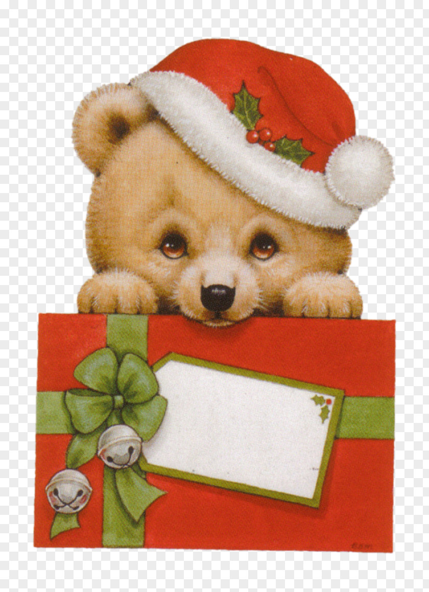 Christmas Card Santa Claus Gift PNG