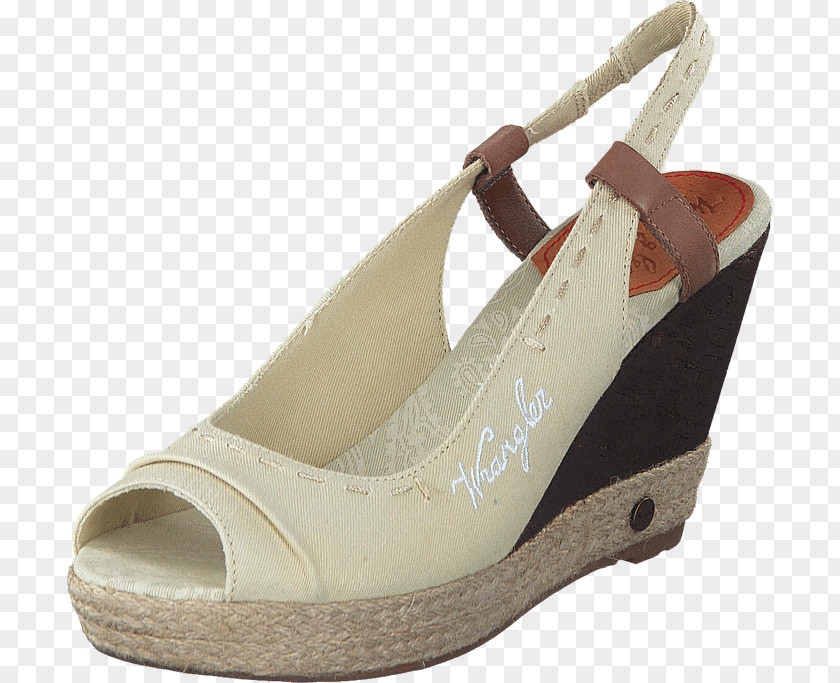 Cloth Shoes Court Shoe Sandal Dress Boot PNG