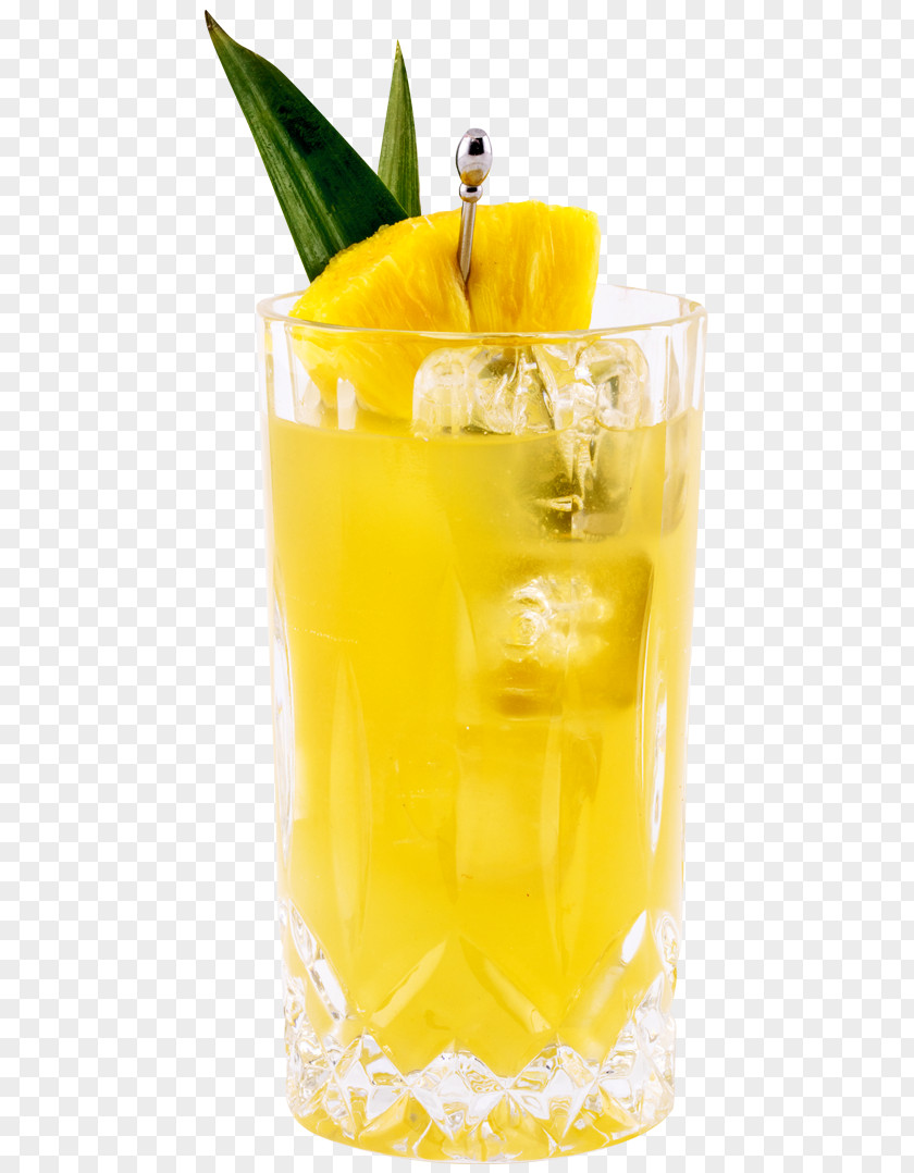 Cocktail Agua De Valencia Gin Tanqueray Orange Juice PNG