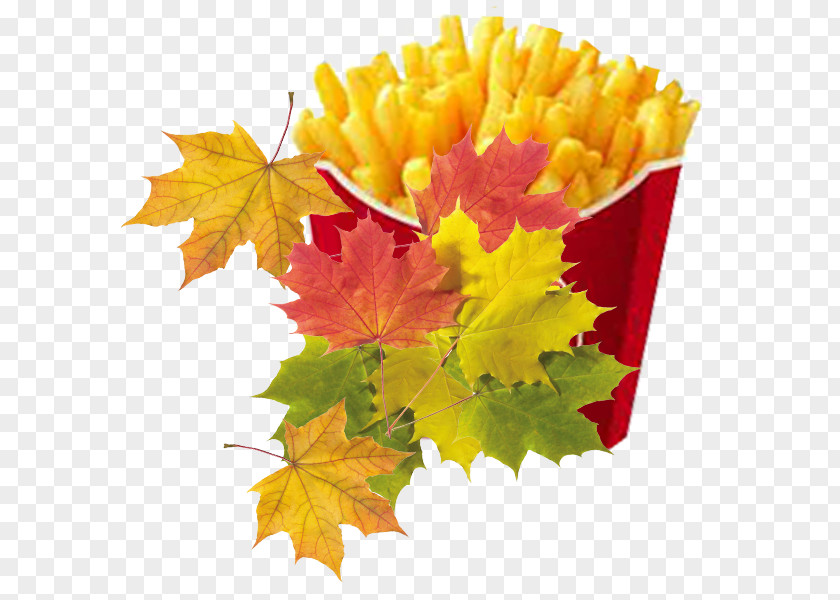 Fries In Kind Hamburger McDonalds French Fried Chicken KFC PNG