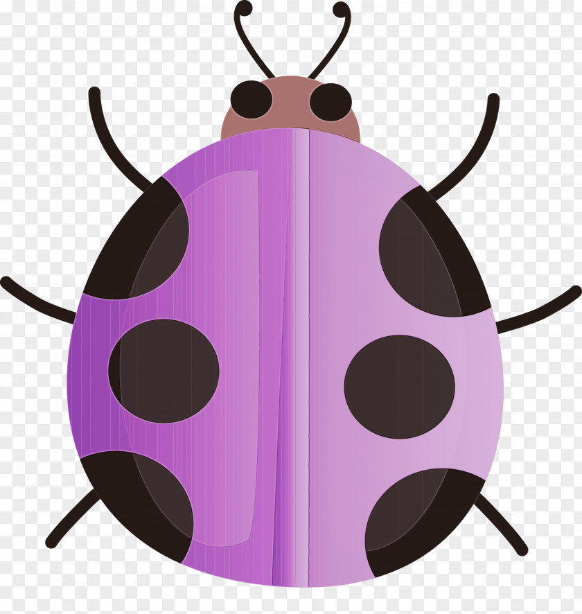 Insect Violet Pink Purple Magenta PNG