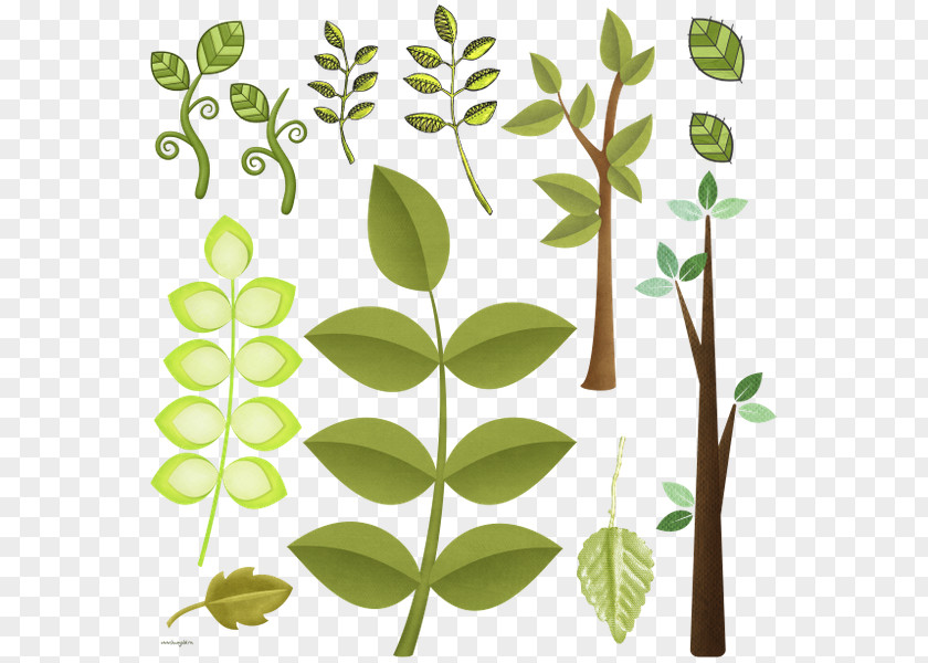 Leaf Clip Art JPEG Plant Stem PNG