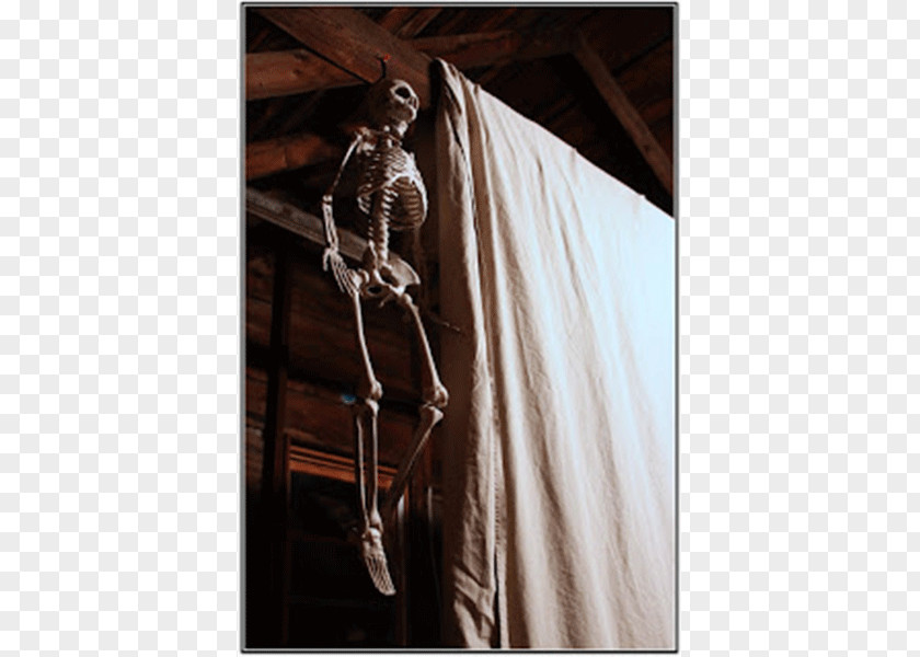 Skeleton Shoulder Outerwear PNG