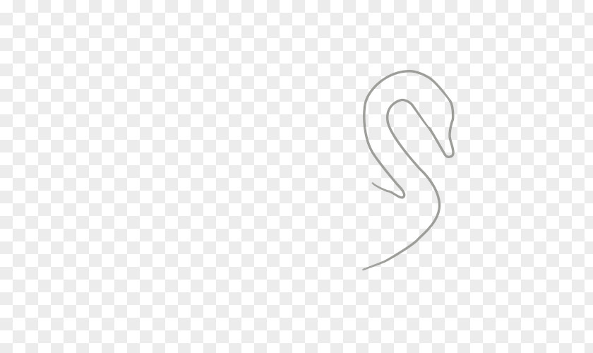 Swan Drawing Cygnini USMLE Step 3 Animal White PNG
