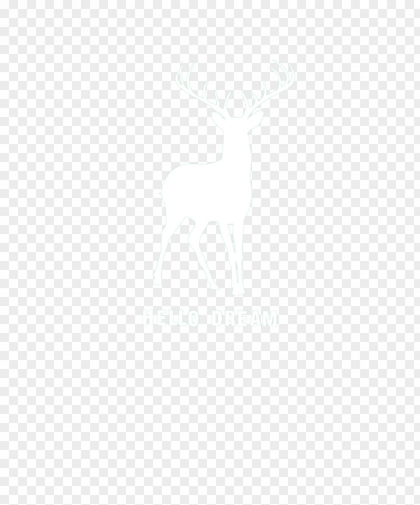 White Deer Black And Line Angle Point PNG