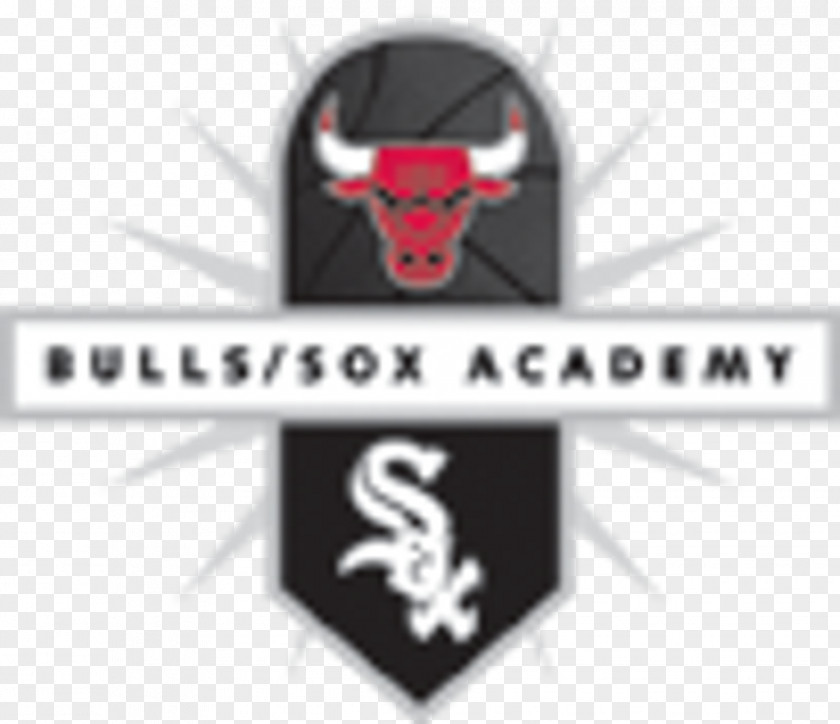 Baseball Chicago Bulls Bulls/Sox Youth Academy Boston Red Sox Training PNG