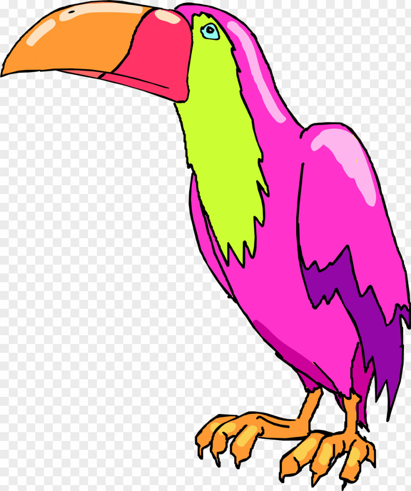 Beak Wildlife Animal Chicken As Food Clip Art PNG