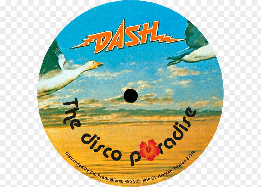 Dvd Record Label DVD Disco Compact Disc PNG