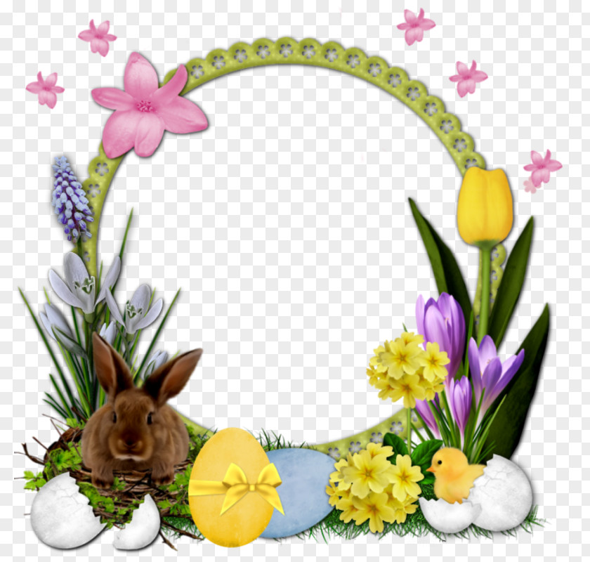 Easter Picture Frames Cranberry PNG